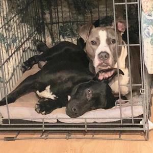 Meet your Posher, Camille